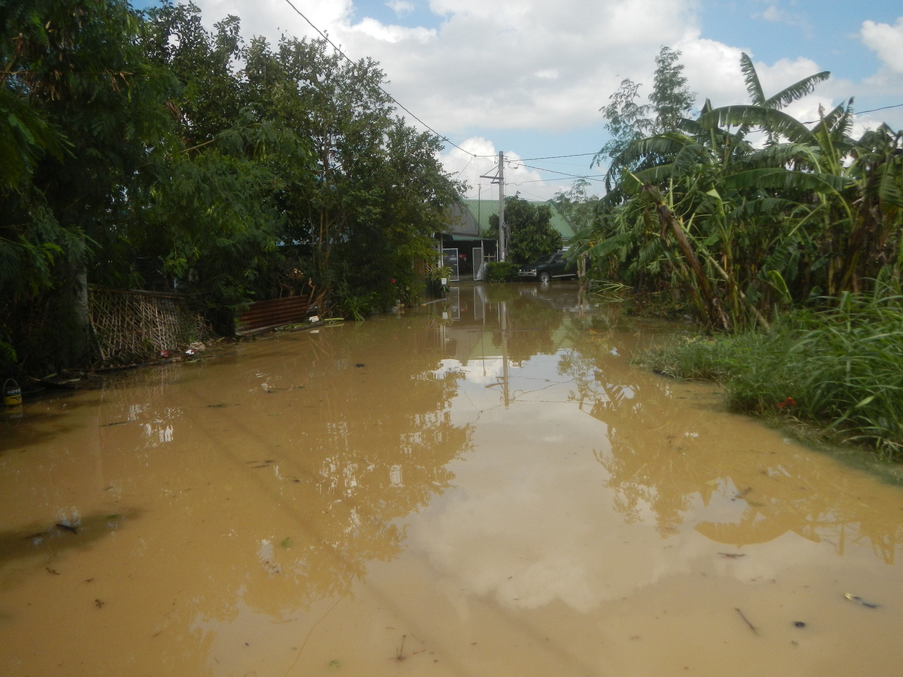 Überschwemmte ländliche Straße mit Wasser, das die Straße, Pflanzen und Bäume auf beiden Seiten bedeckt, ein Auto auf der rechten Seite geparkt und beschädigte Häuser, Pfähle und Drähte im Hintergrund.