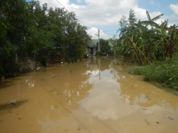 Überschwemmte ländliche Straße mit Wasser, das die Straße, Pflanzen und Bäume auf beiden Seiten bedeckt, ein Auto auf der rechten Seite geparkt und beschädigte Häuser, Pfähle und Drähte im Hintergrund.