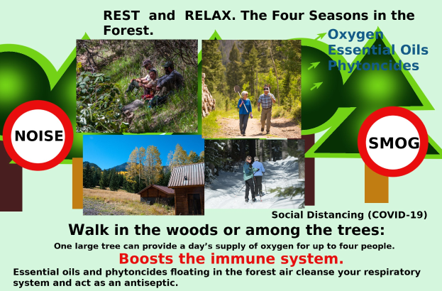 Plakat mit Bildern von Menschen, die in einem bewaldeten Gebiet in der Nähe eines Hauses spazieren gehen, um Entspannung in der Natur mit dem Text "Ruhe und Entspannung die vier Jahreszeiten im Wald." zu fördern