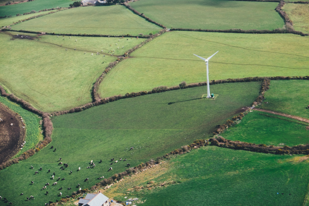 Luftaufnahme einer einzelnen Windturbine in einem grünen Feld mit Bäumen, Häusern und Tieren in der Umgebung in Irland.