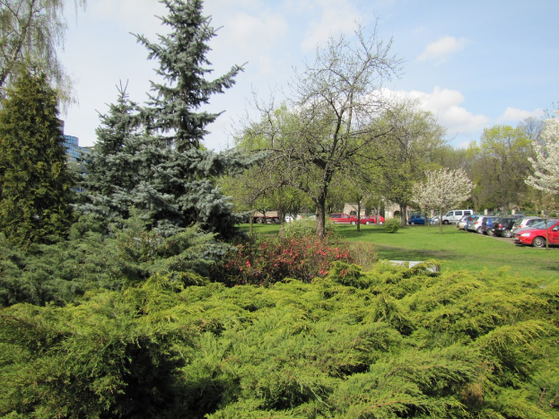 Ein Park mit vielfältiger Vegetation, ein Parkplatz mit Autos, Gebäuden und einem bewölkten Himmel im Hintergrund.