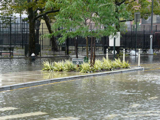 Eine überflutete Straße mit Pflanzen, Bäumen und einer Tafel in der Mitte, umgeben von Wasser, mit einem Zaun, einem Gebäude und zusätzlichen Pflanzen im Hintergrund.