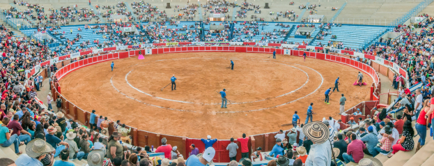 Eine große Menschenmenge schaut einem Stierkampf in einer Arena zu, wobei einige stehen, sitzen oder Gegenstände halten und eine Person unten einen Hut trägt.