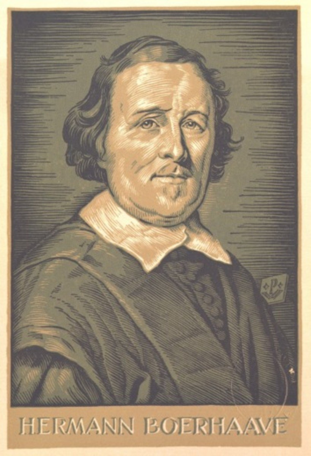 Porträt von Hermann Boerhaave, einem deutschen Philosophen, mit Text unten auf dem Bild.