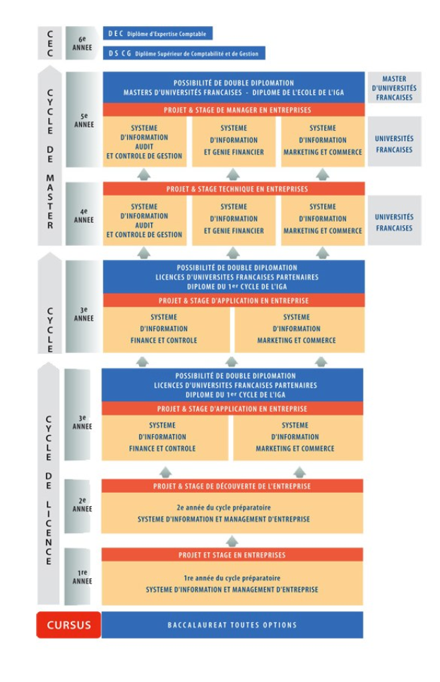 Diagramm, das die organisatorische Struktur eines Unternehmens mit interconnected boxes darstellt, die verschiedene Phasen des Geschäfts growths und der Entwicklung darstellen, begleitet von Text, der die Rollen und Verantwortlichkeiten beschreibt.