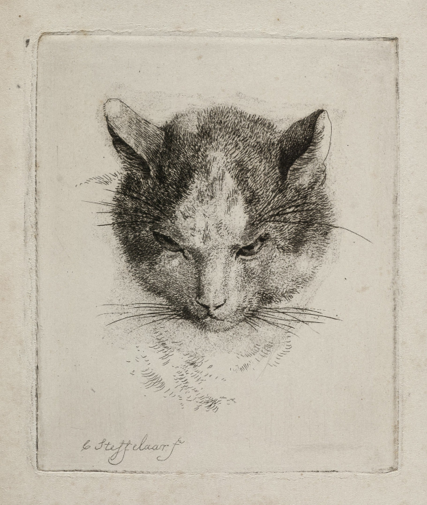 Schwarze und weiße realistische Zeichnung einer Katze mit großen Augen, aufgestellten Ohren, langen Schnurrhaaren und einer eingerollten Schwanzspitze auf einem Blatt Papier mit fetter Schrift.