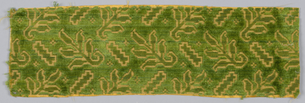 Algacore-Projekt der Textil- und Bekleidungstechnologie-Fakultät an der Niederrhein-Universität der angewandten Wissenschaften - Bekleidung aus Algen in der Zukunft?
