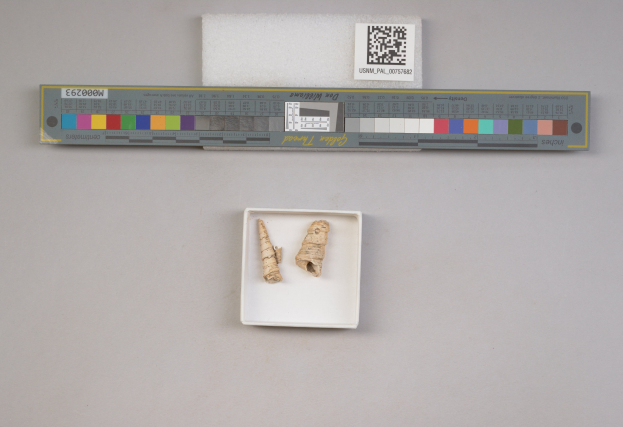 Skaliere mit einem QR-Code auf seinem Display neben einem Stück Papier und zwei Objekten in einer weißen Box in der Mitte der Waage.