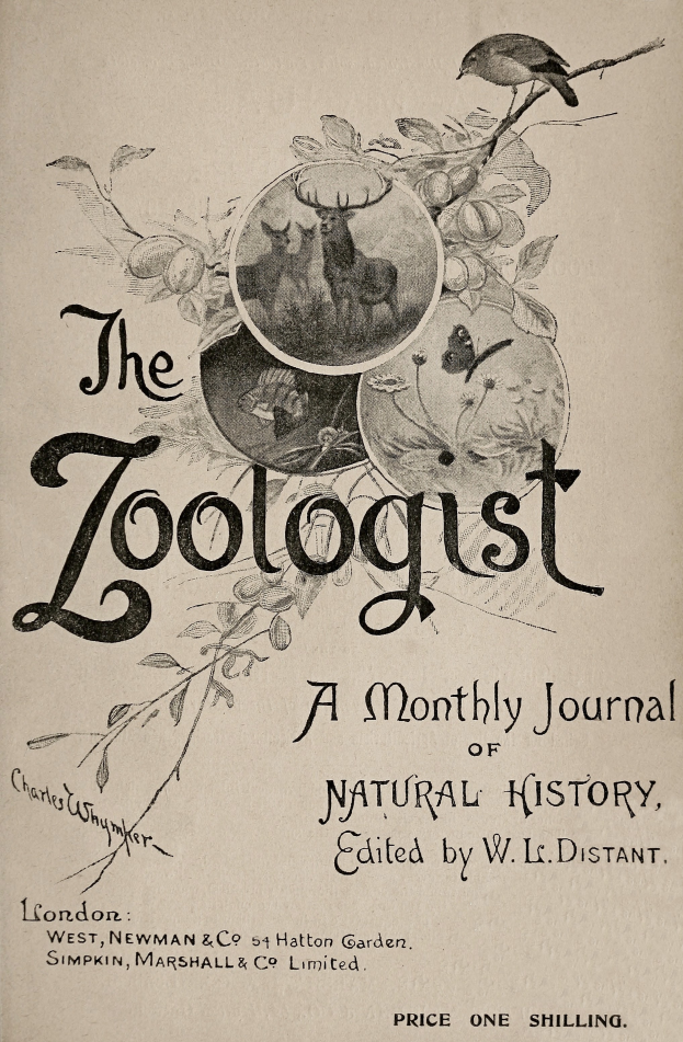 Der Einband eines Buches mit dem Titel "Der Zoologe: Eine monatliche Zeitschrift für Naturgeschichte" zeigt einen Vogel, der auf einem Ast sitzt und von einem Reh, einem Kaninchen und einem Fuchs umgeben ist. Alle Tiere sind realistisch illustriert, der Titel steht in fetter schwarzer Schrift darüber.