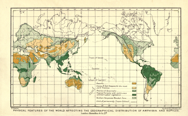 Eine Weltkarte auf Papier, die die physischen Landschaften mit verschiedenen Grüntönen zeigt, um die Landbedeckung anzuzeigen, begleitet von Text, der Informationen zur Landbedeckung enthält.