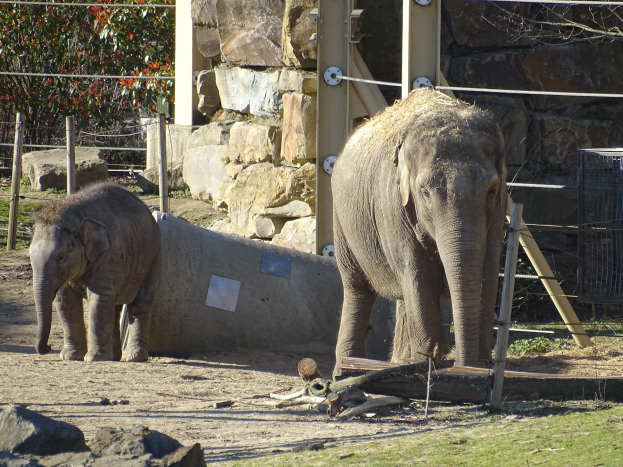 Zooverein Wuppertal: Neue Wahlen und Genehmigung von zwei neuen Bauprojekten
