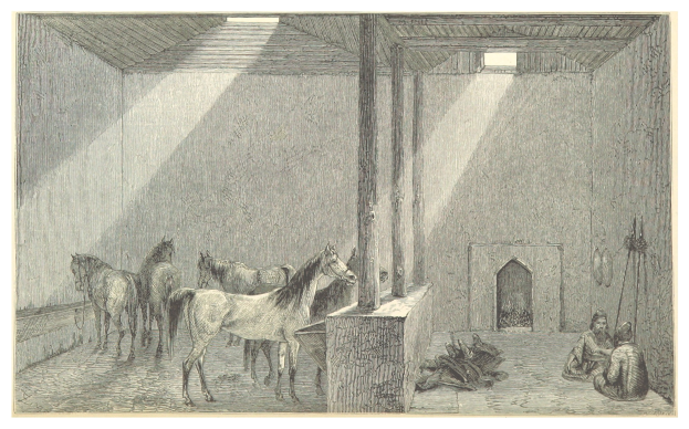 Ein Kindeszeichnung eines Raumes mit zwei Pferden, zwei sitzenden Personen auf dem Boden und verstreuten Gegenst├Ąnden, mit Text unten.