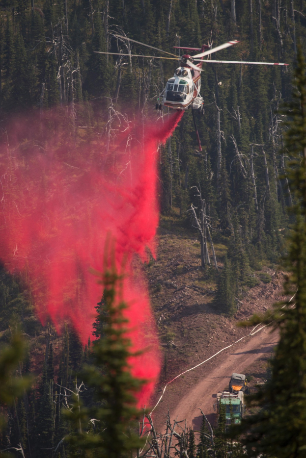 Ein Hubschrauber lässt Wasser auf einen Waldbrand fallen, während ein Fahrzeug auf dem Boden zu sehen ist, mit Bäumen im Hintergrund.