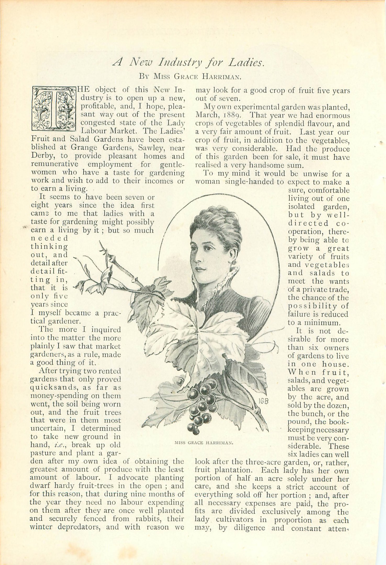 Offenes Buch mit einer Illustration eines Frauenkopfs auf der Seite, umgeben von Blättern und Früchten, mit dem Text "Eine neue Branche für Damen" sichtbar.