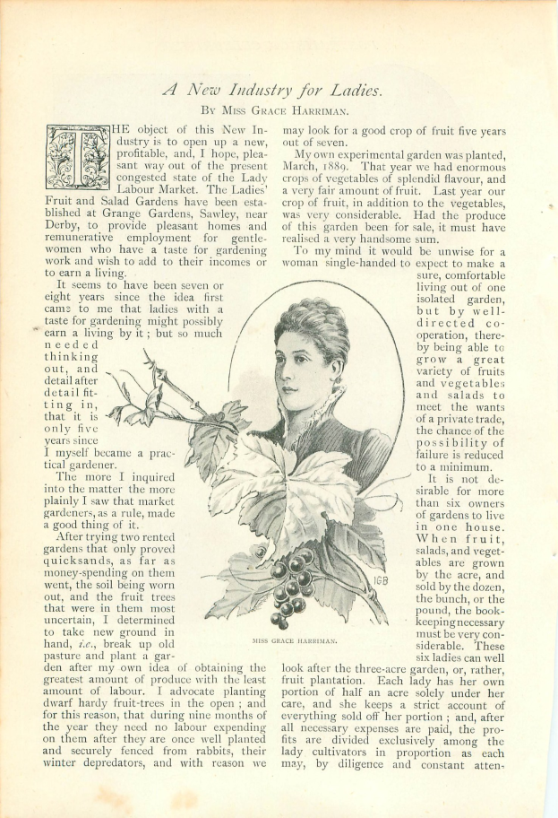 Offenes Buch mit einer Illustration eines Frauenkopfs auf der Seite, umgeben von Blättern und Früchten, mit dem Text "Eine neue Branche für Damen" sichtbar.