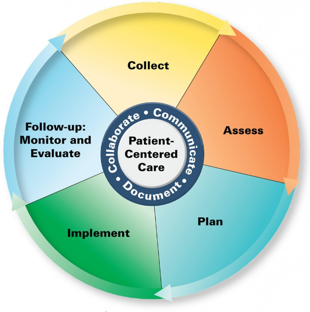 Ein Kreisdiagramm mit der Beschriftung "patientenorientierte Pflege" und vier farbigen Abschnitten, jeweils mit einer Pflegebeschreibung.