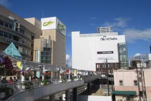 Eine belebte Stadtstraße mit hohen Gebäuden, einer Brücke mit Geländern und blühenden Pflanzen, Menschen, die gehen, Strommasten mit Drähten und einem bewölkten Himmel im Hintergrund.