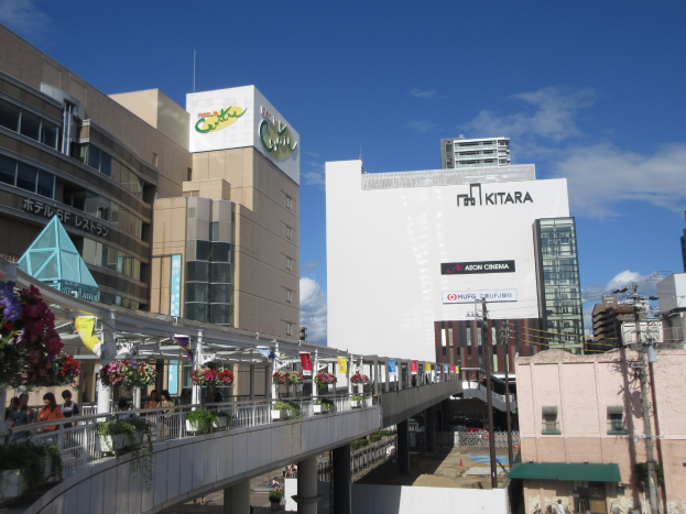 Eine belebte Stadtstraße mit hohen Gebäuden, einer Brücke mit Geländern und blühenden Pflanzen, Menschen, die gehen, Strommasten mit Drähten und einem bewölkten Himmel im Hintergrund.