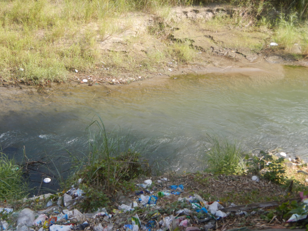 Ein Flussufer mit einem Haufen Müll am Rand, umgeben von saftigem Grün und Pflanzen, mit kristallklarem Wasser.