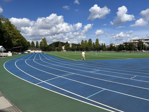 Eine Laufbahn mit laufenden Menschen, umgeben von grünem Gras und Bäumen, Schuppen und Pfosten auf der linken Seite und einem bewölkten Himmel.