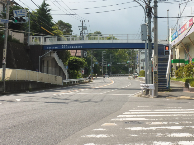 Stadtstraße mit einer Fußgängerbrücke darüber, Fahrzeuge auf der Straße, Strommasten mit Kabeln, Verkehrszeichen, Schilder, Gebäude mit Fenstern, Bäume, Pflanzen und einen Himmel im Hintergrund.