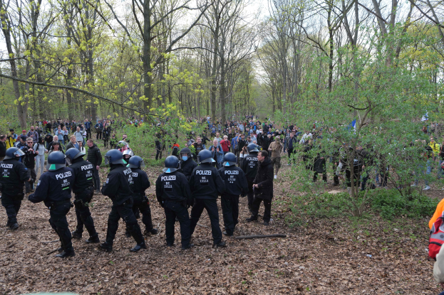 Eine Gruppe von Polizisten in Helmen, die in einem bewaldeten Gebiet mit Bäumen, Pflanzen, trockenen Blättern auf dem Boden und sichtbarem Himmel im Hintergrund stehen.